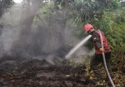 Perusahaan pembakar hutan di Riau terancam denda Rp10 miliar