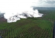 Tersangka pembakaran hutan dan lahan bertambah jadi 187 orang