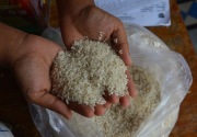 Pemerintah perlu antisipasi gejolak harga beras pada akhir tahun