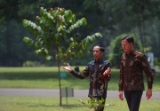 Berkemeja batik, PM Belanda bertemu Presiden Jokowi