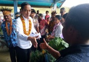 Presiden Jokowi kabulkan usulan Bupati Pegunungan Arfak
