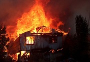 Kebakaran saat Natal, 200 rumah hangus di Chile