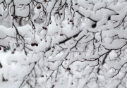 Rusia bikin salju buatan saat musim dingin, kenapa?