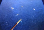 Celah kapal-kapal asing merangsek masuk ke laut Natuna