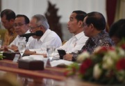 Jokowi beri Anies tenggat waktu selesaikan sodetan Ciliwung