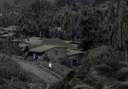 Gunung Taal di Filipina erupsi: KBRI Manila tampung 75 WNI