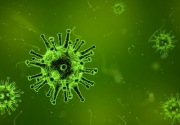 Virus misterius tewaskan 2 orang di China