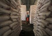 HKTI Jatim: Pengurangan pupuk subsidi skenario impor beras  