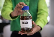 Program B30 ditargetkan serap 9,6 juta KL minyak nabati