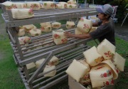 Pemprov Jakarta diminta pikirkan nasib pekerja informal