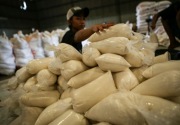 Awal Juni, gula impor 28.200 ton bakal masuk Indonesia