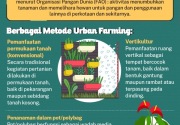 Urban farming dapat menangkal krisis pangan