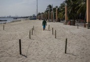 Perluasan Pantai Ancol tidak boleh menjadi kawasan privat