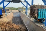 Berebut bahan baku, 12 pabrik gula Jatim terancam tutup