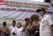Indonesia ekspor bawang putih setelah 25 tahun impor