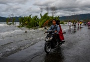 Warga Yogyakarta diminta waspada terjadinya potensi angin kencang