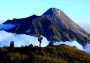 UNESCO tetapkan 3 cagar biosfer baru di Indonesia