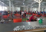 Menteri Edhy resmikan Pasar Ikan Modern Palembang