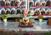 Orang Bolivia menghiasi tengkorak untuk hormati orang mati