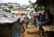 Bangladesh relokasi ribuan pengungsi Rohingya ke pulau terpencil