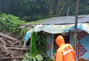 Banjir bandang terjang Puncak Bogor, BNPB: Kondisi belum kondusif