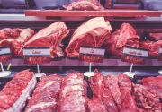 CIPS: Pemerintah perlu evaluasi kebijakan impor daging sapi