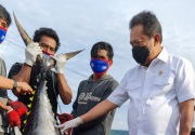 KKP lepas ekspor tuna ke Jepang, AS, dan Vietnam senilai US$513.000
