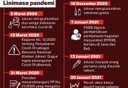 Setahun pandemi di tangan Jokowi