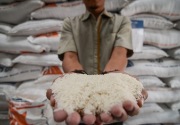 Berkualitas jelek, pemerintah baru serap beras petani 85.000 ton hingga Maret