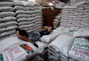 CIPS nilai impor beras untuk antisipasi krisis pangan imbas pandemi Covid-19