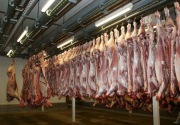 420 ton daging impor dipastikan masuk jelang Lebaran