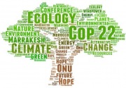 Perlu dukungan APBN dan APBD untuk komitmen ekonomi hijau Jokowi