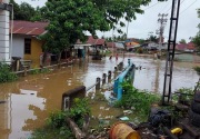 Lebaran, 7 desa di Kalsel terendam banjir
