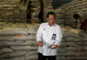 Anggota DPR cecar Buwas soal proyek food estate