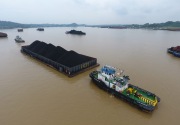 Pelita Samudera Shipping bukukan laba bersih US$2,5 juta kuartal I-2021