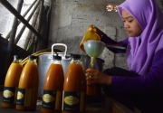 Dilema penggunaan jamu dalam pelayanan kesehatan di Indonesia