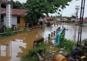Banjir di Kalbar, 751 rumah terendam, 377 orang mengungsi