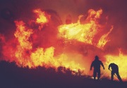 Pemadam kebakaran berjuang padamkan kebakaran hutan di Spanyol