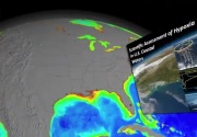 Ilmuwan AS temukan zona mati masif di dasar teluk Meksiko