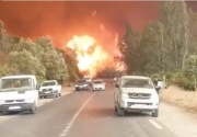 Korban tewas mencapai  65 dalam kebakaran hutan Aljazair