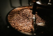 PTPN XII targetkan ekspor kopi 2.659 ton tahun ini
