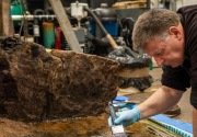 Peti mati berisi sisa-sisa manusia zaman perunggu ditemukan tidak sengaja 