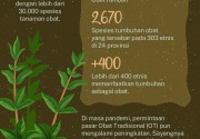 Potensi tanaman obat Indonesia