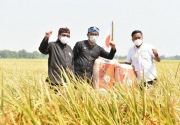 Borong gabah petani muda, PKS: Regenerasi penting dilakukan 