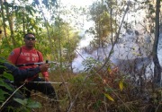Api di Taman Wisata Alam Gunung Batur Bukit Payang berhasil dipadamkan