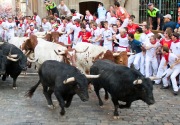 Seorang pria tewas ditanduk di festival lari banteng Spanyol