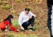 Jokowi minta masyarakat rawat Kawasan Hutan Gunung Pepe