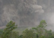 Guguran awan panas Gunung Semeru mengarah ke Besuk Kobokan