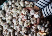 Kementan diminta kurangi impor bawang putih
