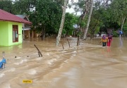 Banjir di Aceh Timur meluas, 769 KK mengungsi